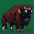 enrico-bison